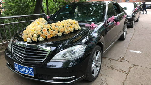 河南租車報價、廠家資源與二手車經銷市場概覽