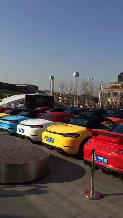 廣東保時(shí)捷租賃服務(wù)與上海租車市場 企業(yè)自駕與長包車新選擇