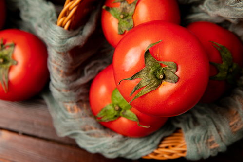 番茄 從紅潤果實(shí)到營養(yǎng)餐桌——兼談微生物肥料的應(yīng)用