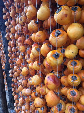 曬柿餅圖片素材 有機(jī)肥料在食品餐飲中的自然與健康之美